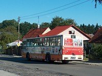 #518