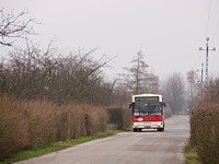 #518
