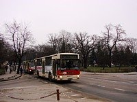 #518