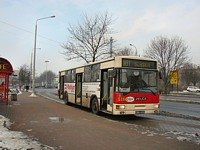 #518