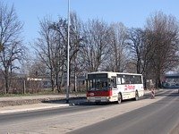 #518