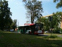 Solaris Urbino12 #528