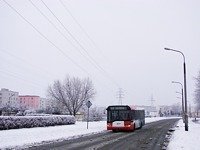 Solaris Urbino12 #528