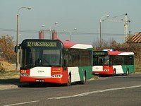 Solaris Urbino12 #528