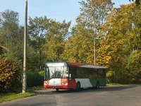 Zdj�cie miesi�ca