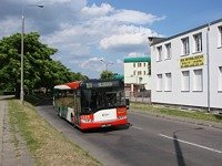 Solaris Urbino12 #529