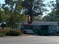 Solaris Urbino12 #529