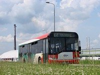 Solaris Urbino12 #529