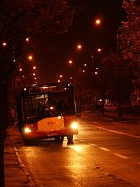 Zdj�cie miesi�ca