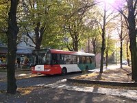 Solaris Urbino12 #533