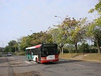 Solaris Urbino12 #533