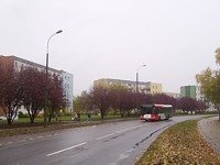 Solaris Urbino12 #533