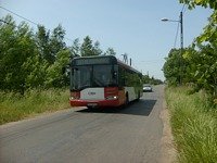 Solaris Urbino12 #533