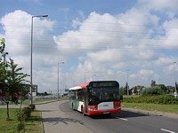 Solaris Urbino12 #538, MZK Gorz�w