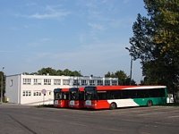 539