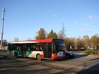 539