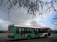 Zdj�cie miesi�ca