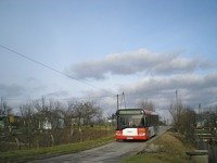 Zdj�cie miesi�ca