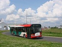 Zdj�cie miesi�ca