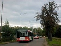 Zdj�cie miesi�ca