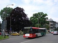 Solaris Urbino12 #541