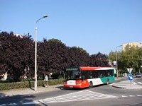 Solaris Urbino12 #541