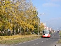Solaris Urbino12 #541