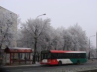 Solaris Urbino12 #541