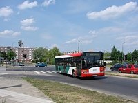 Solaris Urbino12 #543, MZK Gorz�w