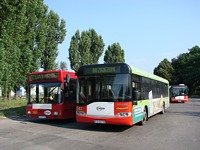 Solaris Urbino12 #543, MZK Gorz�w