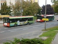 Solaris Urbino12 #543, MZK Gorz�w