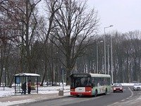 Solaris Urbino12 #543, MZK Gorz�w