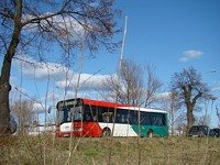 Zdj�cie miesi�ca