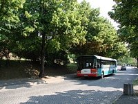 Solaris Urbino12 #547