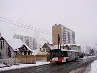 Solaris Urbino12 #541