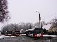 Solaris Urbino12 #541