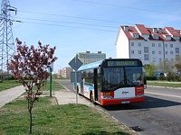 Solaris Urbino12 #549