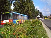 Solaris Urbino12 #549