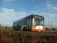 Zdj�cie miesi�ca