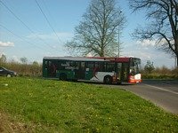 Solaris Urbino12 III #554