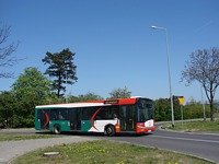 Solaris Urbino12 III #554