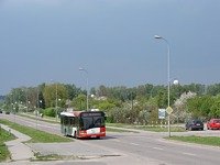 Zdj�cie miesi�ca