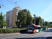 Solaris Urbino12 III #555