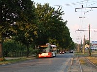 Solaris Urbino12 III #555