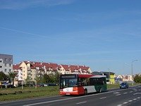 Solaris Urbino12 III #555
