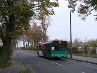 Solaris Urbino12 III #555