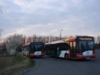 Solaris Urbino12 III #555