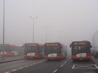 Solaris Urbino12 III #555