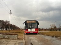Solaris Urbino12 III #556