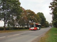 Solaris Urbino12 III #556